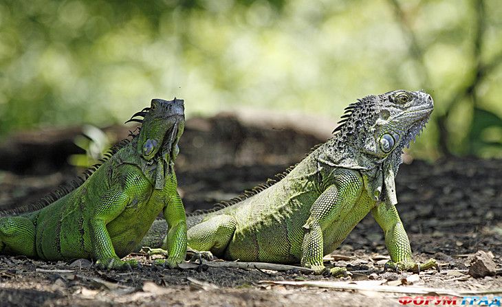 photo 12496185 135852 29829286 main 730x550