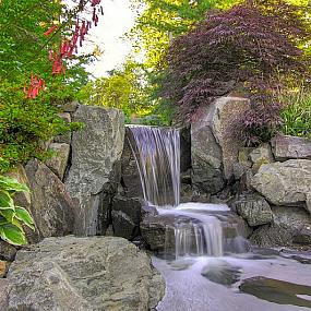 poolside-landscape-07