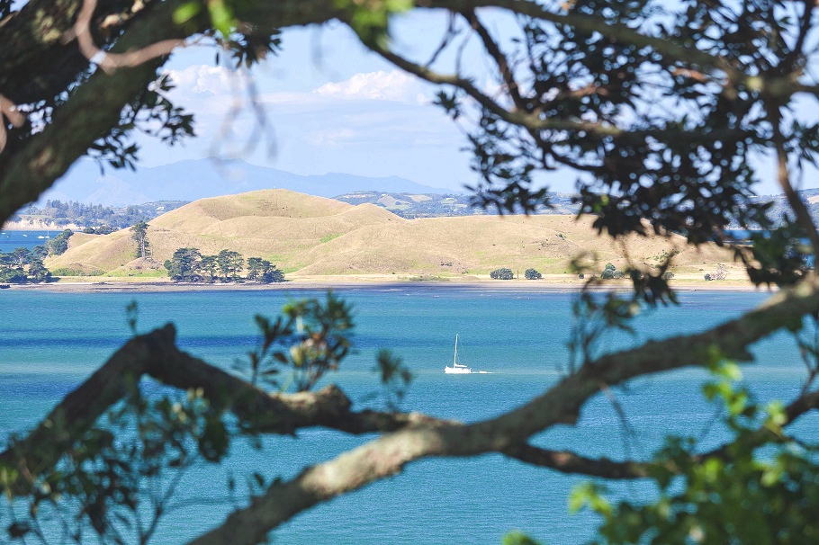 heliers-property-new-zealand-08