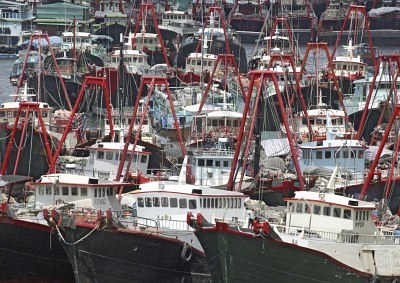 Огромный и величественный Гонконг