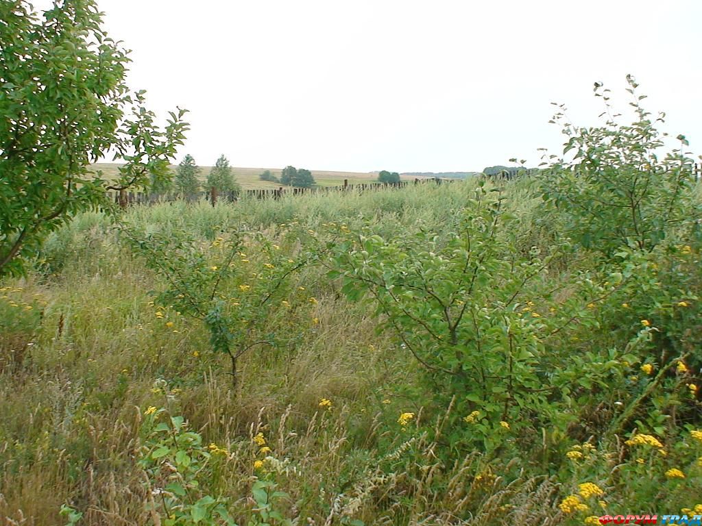 дом в аладьино