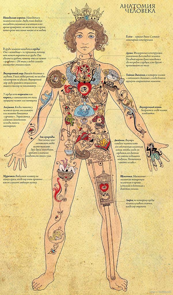 Тело человека - где находится душа