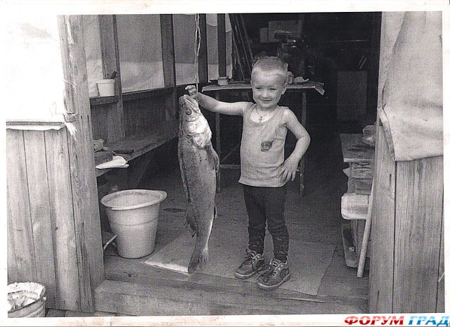 Поиски Максима