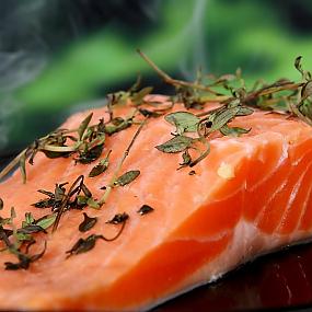 salmon-meat