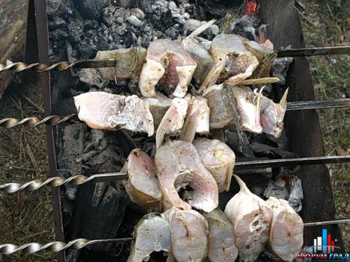 шашлык из судака