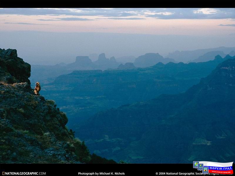 Simen Mountains National Park, Ethiopia 1