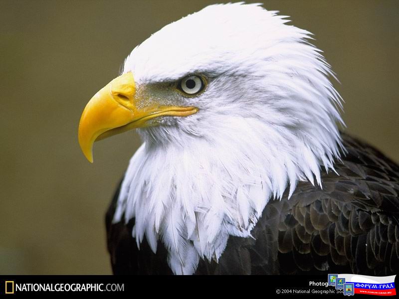 Tongass National Forest, Alaska