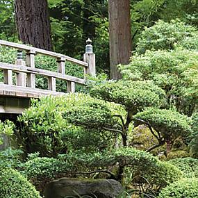 japanese-garden-09