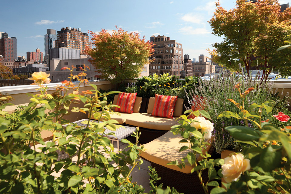 rooftop-garden-10