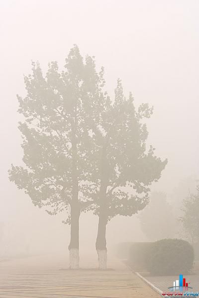 угарный день