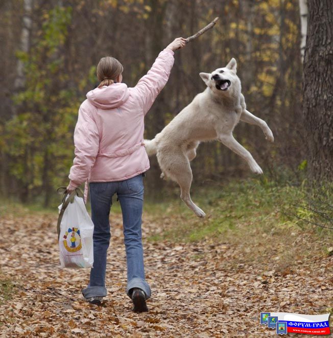 на прогулке