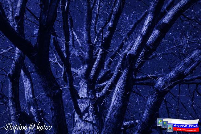 прогулка вместе с мечтами