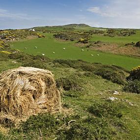 landscape-wales-10