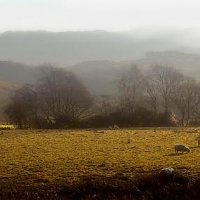 landscape-wales-14