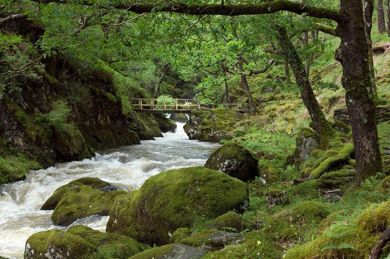 landscape-wales-23