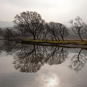 landscape-wales-34