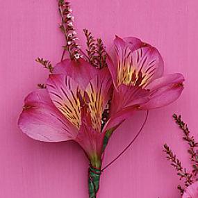 letniaya svadba.jpg21