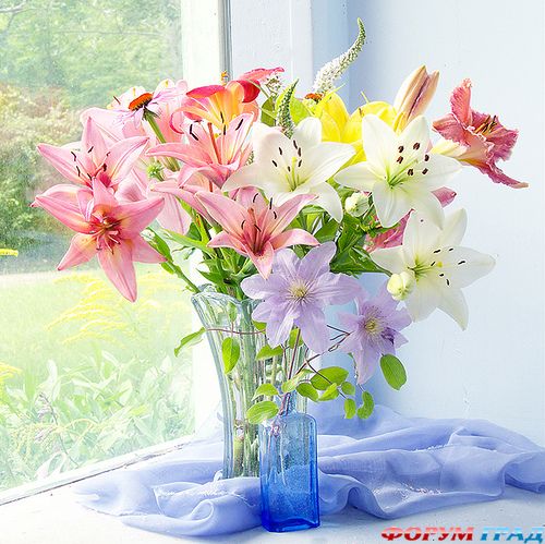 pozdravliaiem s iubileem3