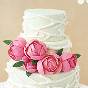 vesenniaya svadba.jpeg.jpg33