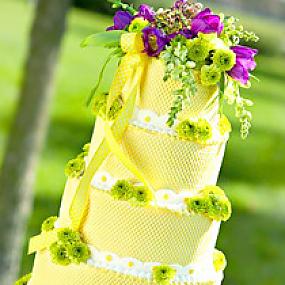 vesenniaya svadba.jpeg.jpg36