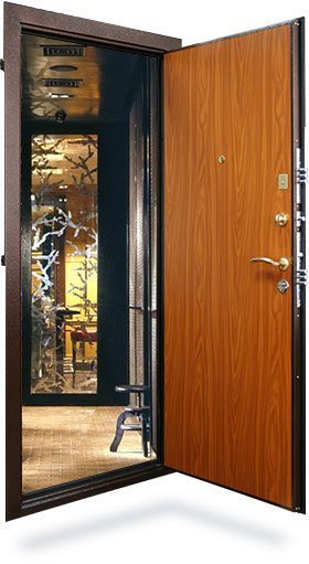 vhodnie dveri metall