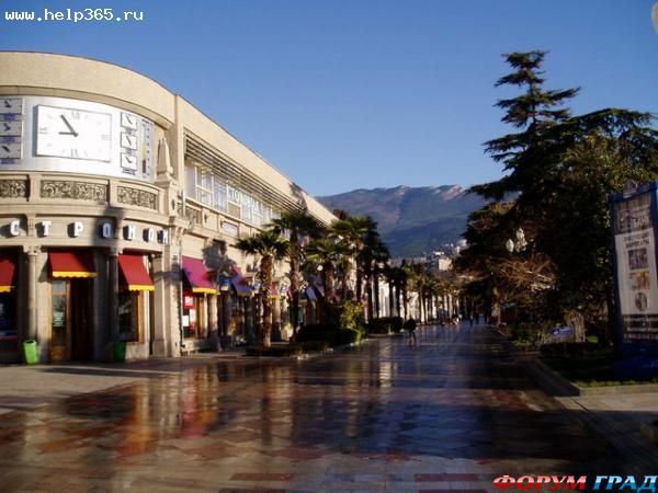 yalta zimoy