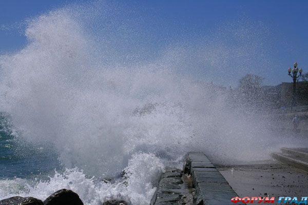 yalta zimoy3