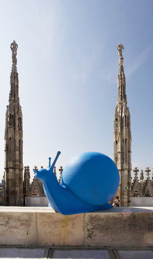 regeneration-cracking-art-group-02