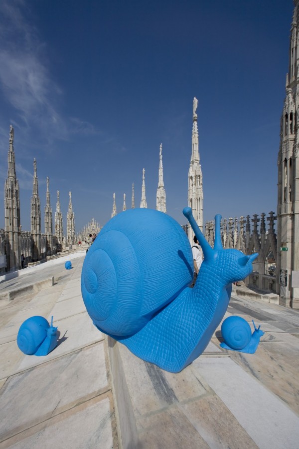 regeneration-cracking-art-group-04