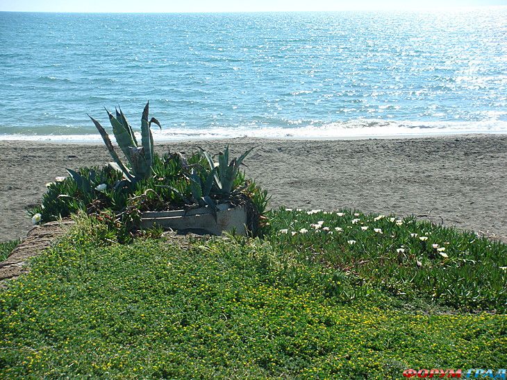 Форум для туристов