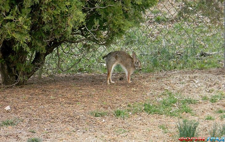 Форум для туристов