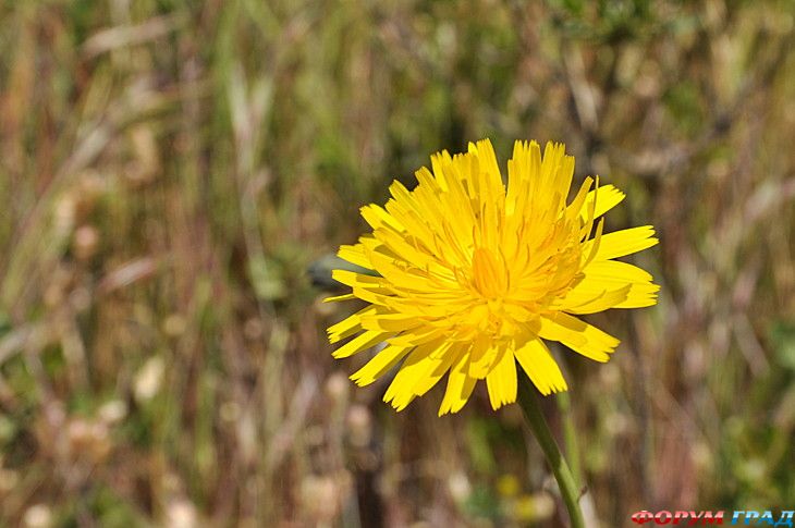 Форум для туристов