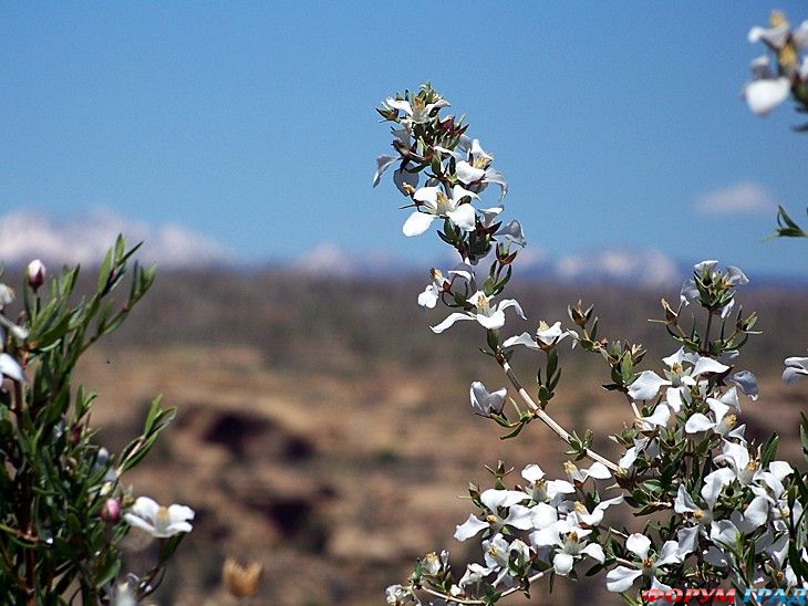 Форум для туристов