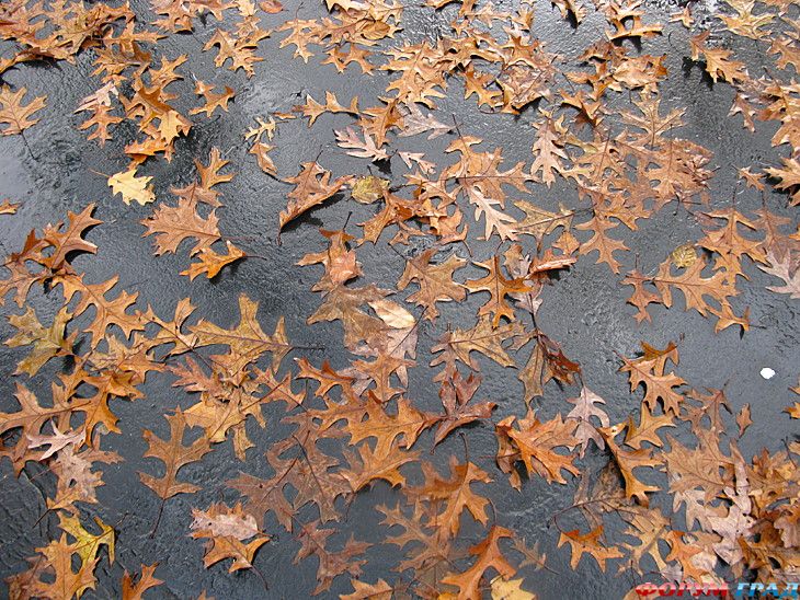 Форум для туристов