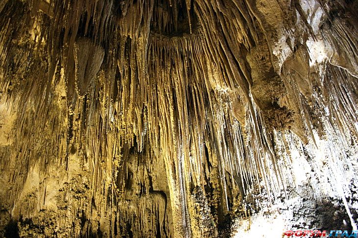 Форум для туристов