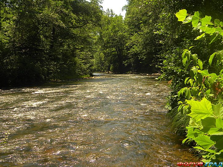 Форум для туристов