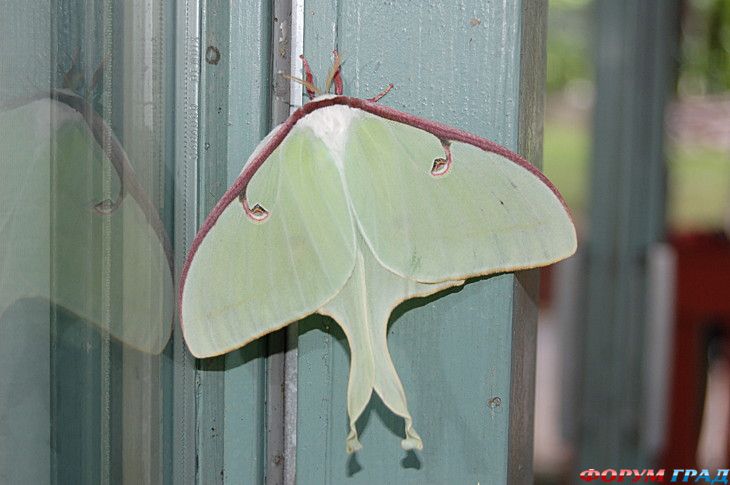 Форум для туристов