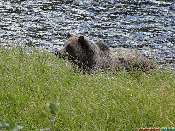 Форум для туристов