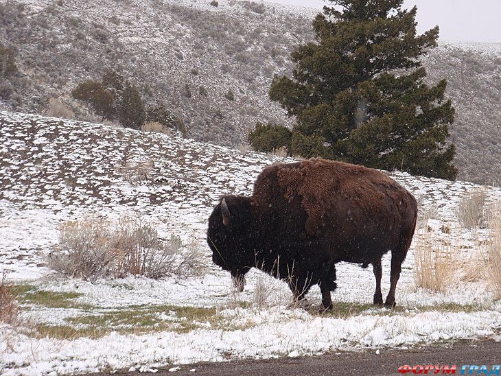 Форум для туристов