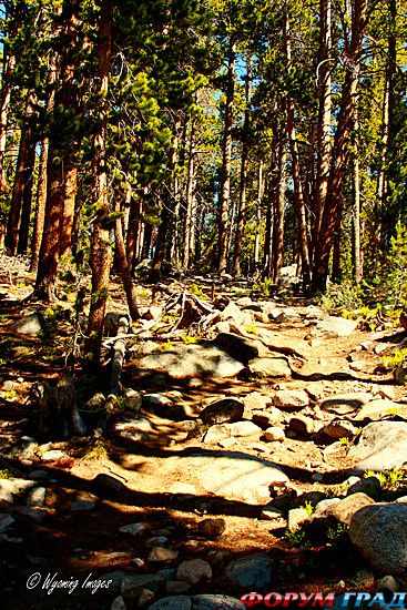 Форум для туристов