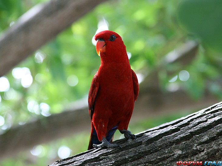 Форум для туристов