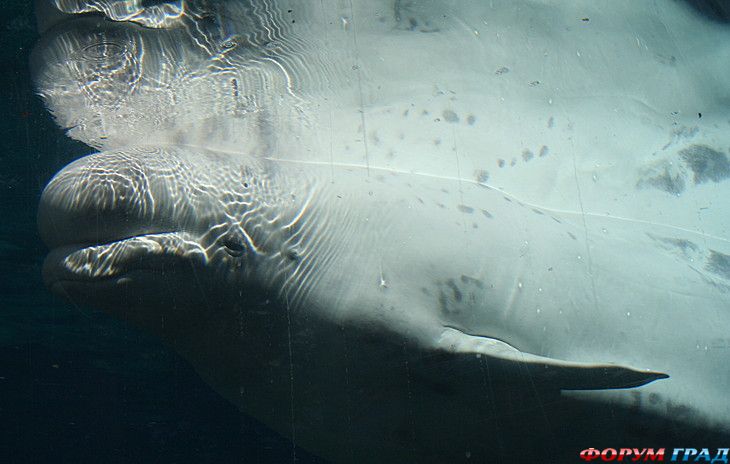 Форум для туристов