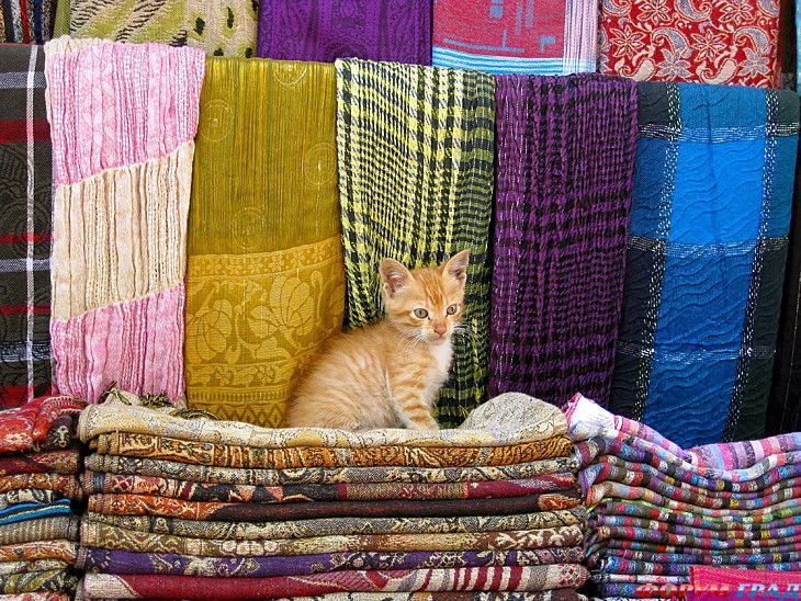 Форум для туристов