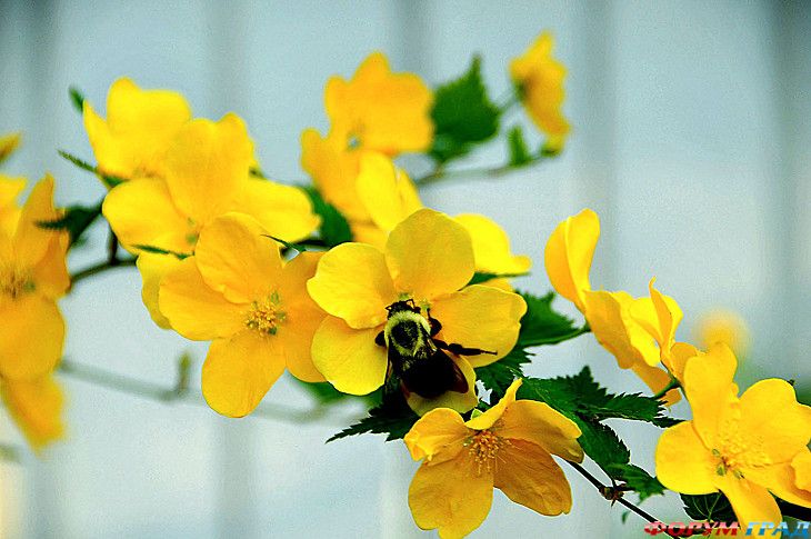 Форум для туристов