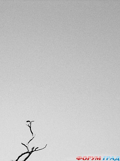 Форум для туристов