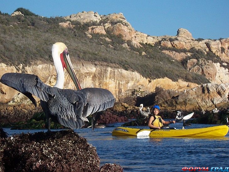 Форум для туристов