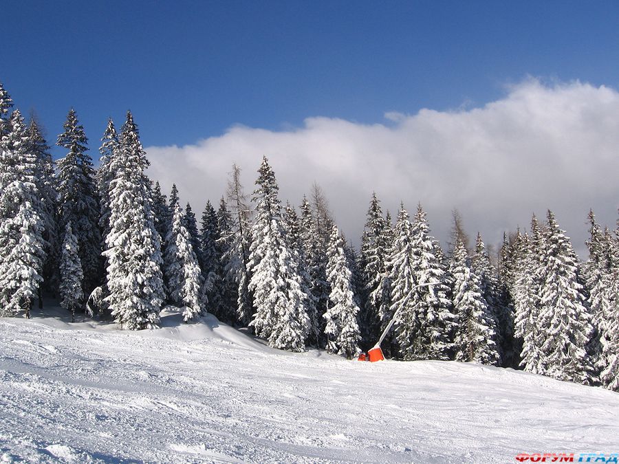 austria-travel-244