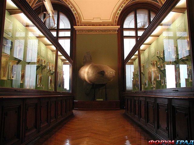 austria-travel-272