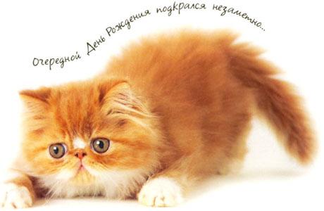 открытка с днём рождения