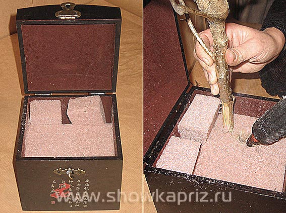 флористика